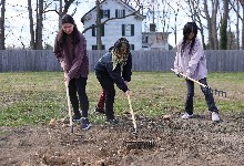 Three students use rakes to prepare a field for planting.